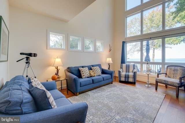 living room with hardwood / wood-style flooring, a towering ceiling, and a water view