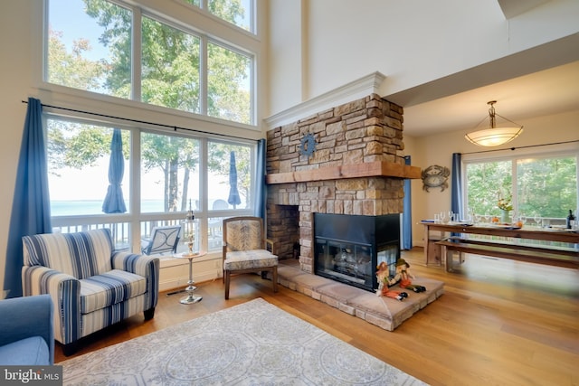 living room with a towering ceiling, plenty of natural light, and hardwood / wood-style flooring