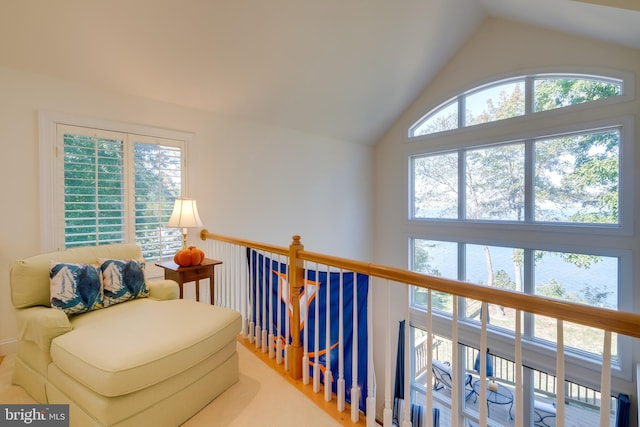 sitting room featuring lofted ceiling and a wealth of natural light