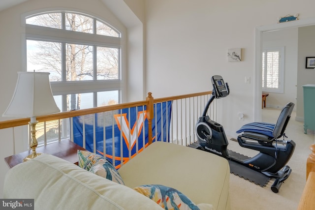 exercise room featuring carpet