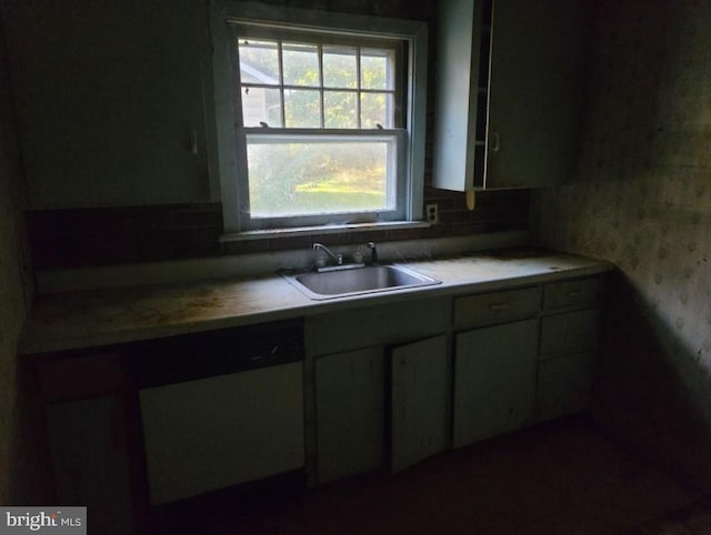 kitchen featuring sink and dishwashing machine