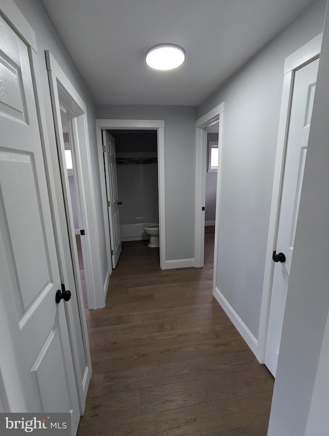 corridor with dark wood-type flooring