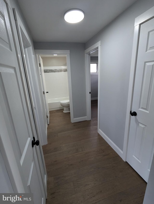 hall featuring dark hardwood / wood-style floors