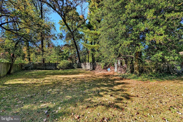 view of yard featuring a fenced backyard