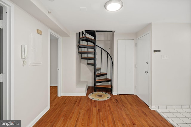 staircase with wood-type flooring