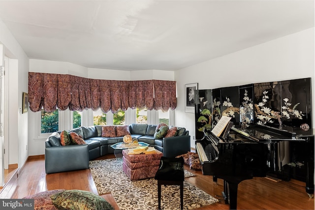 living room featuring wood-type flooring