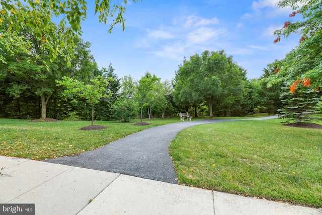 view of property's community with a yard