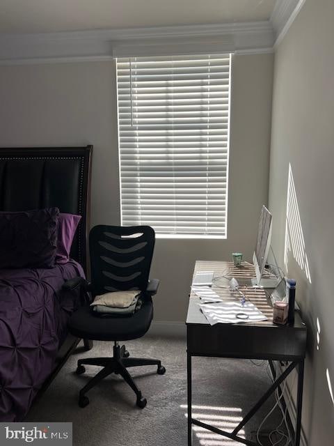 home office with ornamental molding and carpet flooring