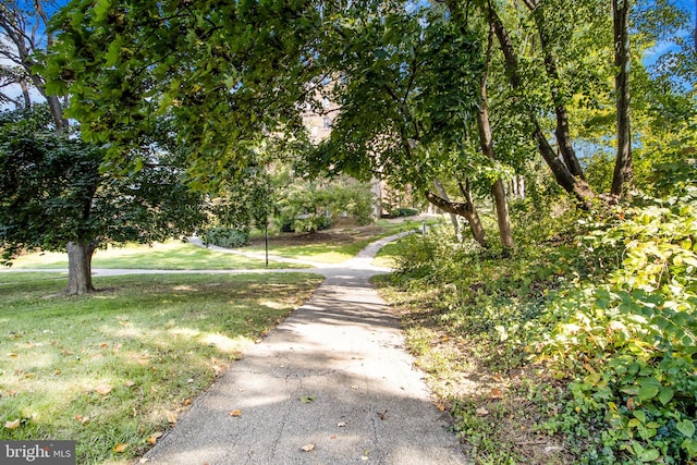 view of road