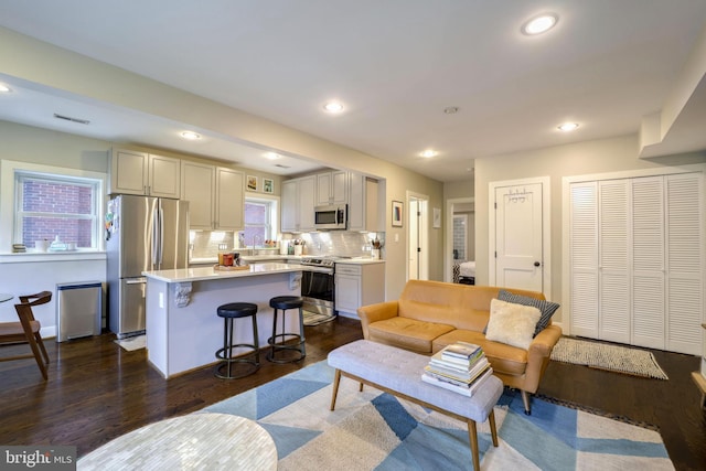 living room with dark hardwood / wood-style flooring