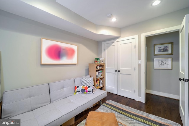 living area featuring dark wood-type flooring