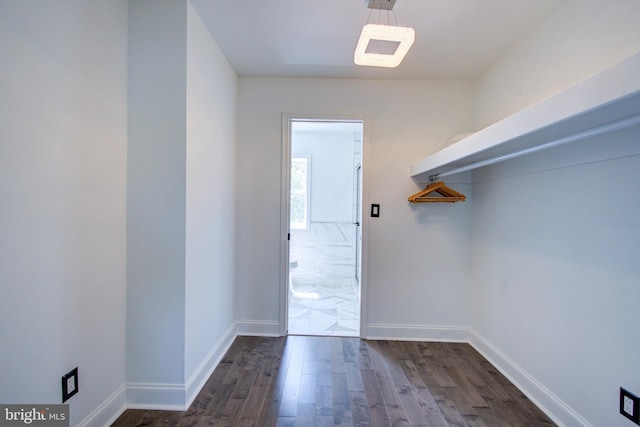 spacious closet featuring dark wood-type flooring