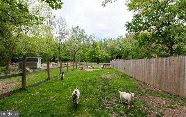 view of yard featuring a shed