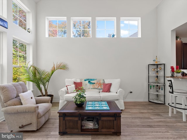 living room featuring a high ceiling and light wood-type flooring