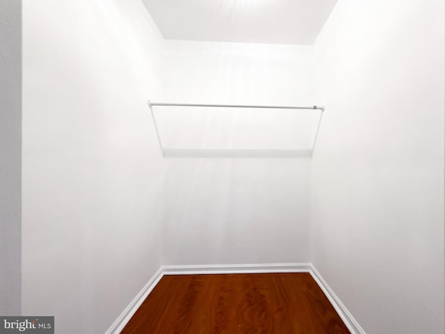 spacious closet featuring hardwood / wood-style floors