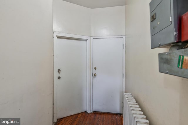doorway featuring electric panel, dark wood-style floors, and radiator