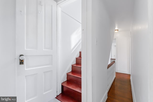 stairs featuring hardwood / wood-style flooring