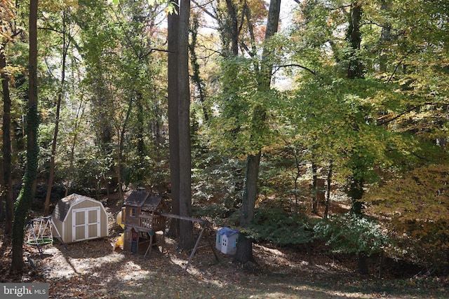 view of yard featuring a storage unit