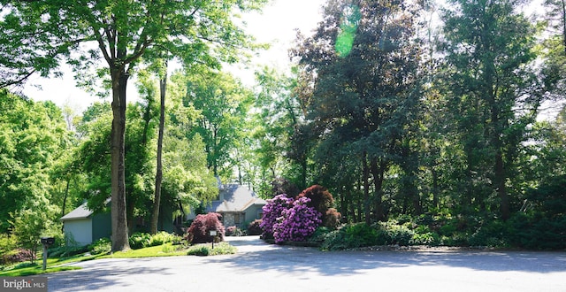 view of road