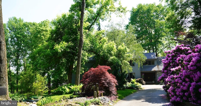 view of community with driveway