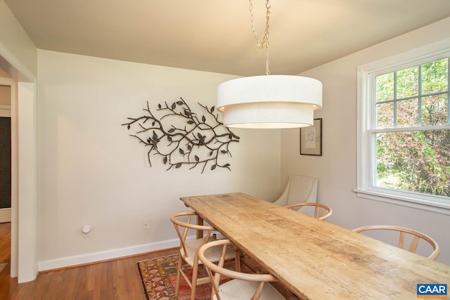 dining space featuring wood-type flooring