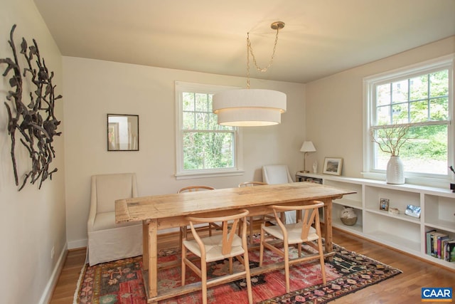 dining room with hardwood / wood-style floors