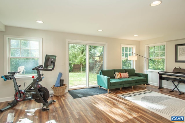 interior space with hardwood / wood-style floors and a wealth of natural light