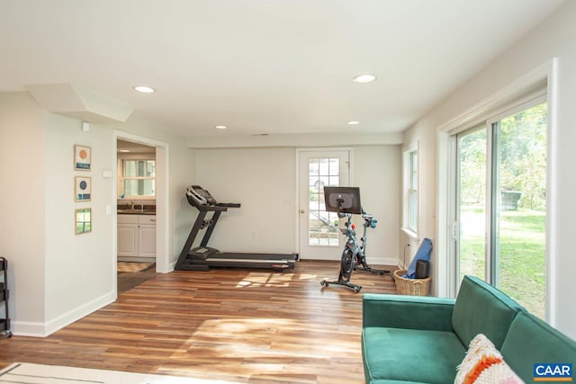 workout area with hardwood / wood-style flooring, sink, and a wealth of natural light