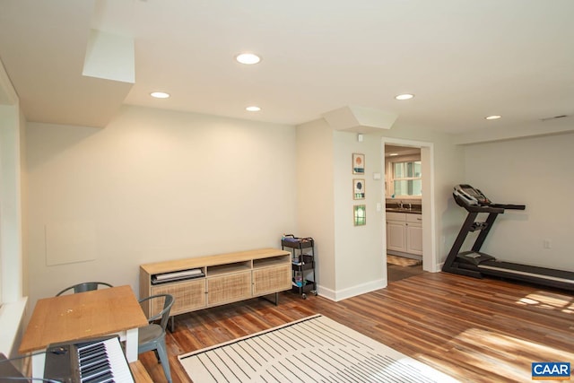 exercise area featuring sink and dark hardwood / wood-style flooring