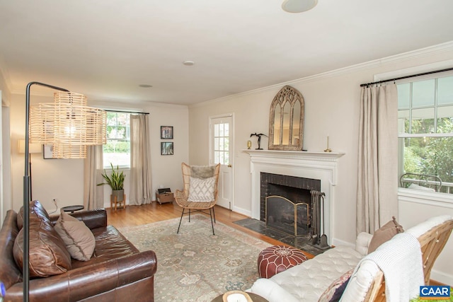 living room featuring hardwood / wood-style flooring and ornamental molding