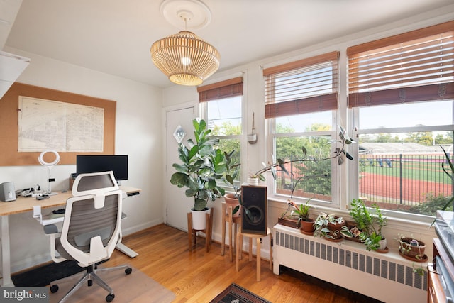 office with light hardwood / wood-style floors, radiator heating unit, and a healthy amount of sunlight