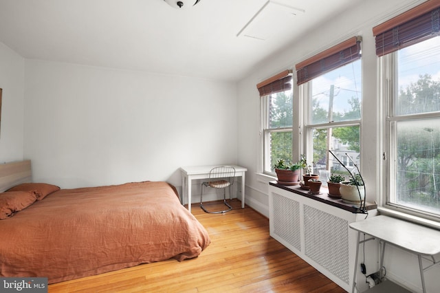 bedroom with multiple windows, radiator, and light wood-type flooring