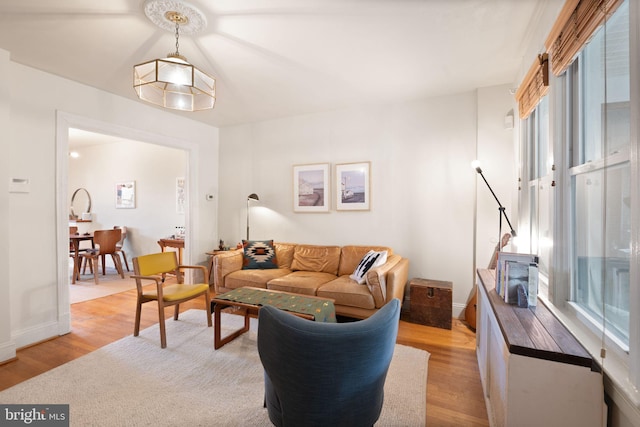 living room featuring light hardwood / wood-style flooring