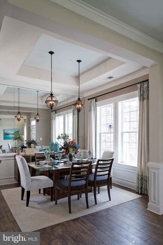 dining space with a healthy amount of sunlight, a tray ceiling, and dark hardwood / wood-style flooring