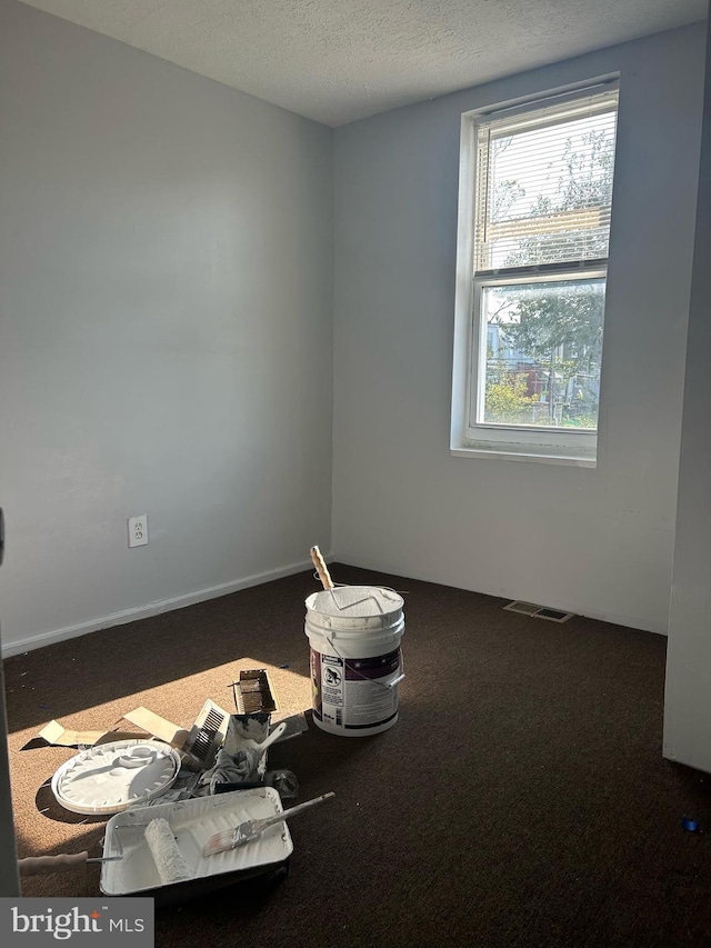 carpeted spare room featuring a textured ceiling