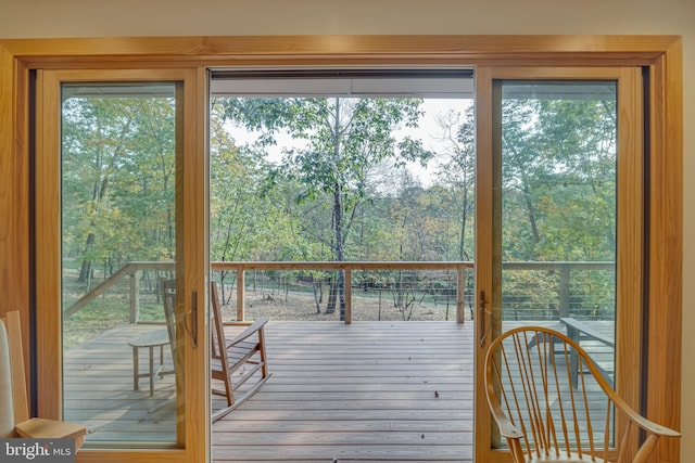 entryway with hardwood / wood-style flooring and a healthy amount of sunlight