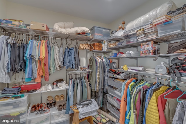 view of spacious closet