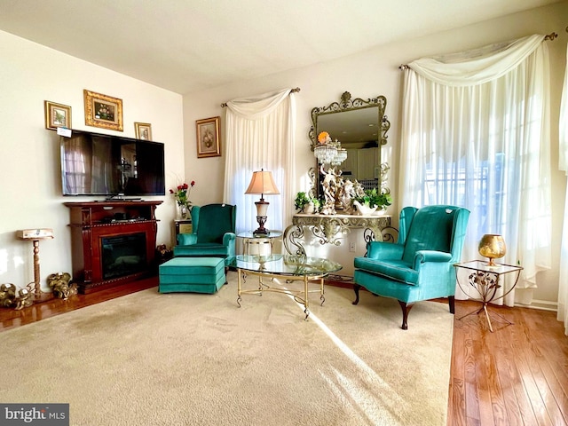 living area featuring hardwood / wood-style flooring