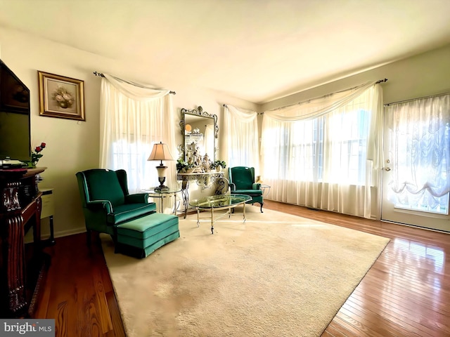 living area featuring wood-type flooring