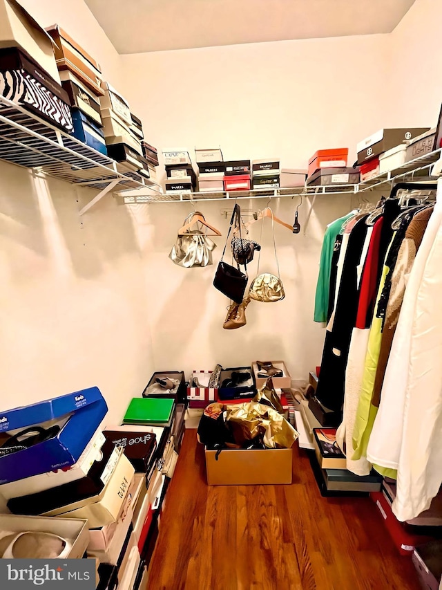 walk in closet featuring dark hardwood / wood-style floors