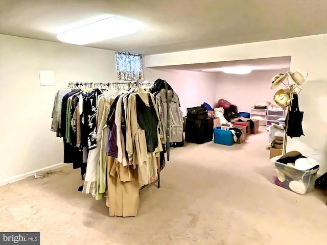 spacious closet featuring carpet floors