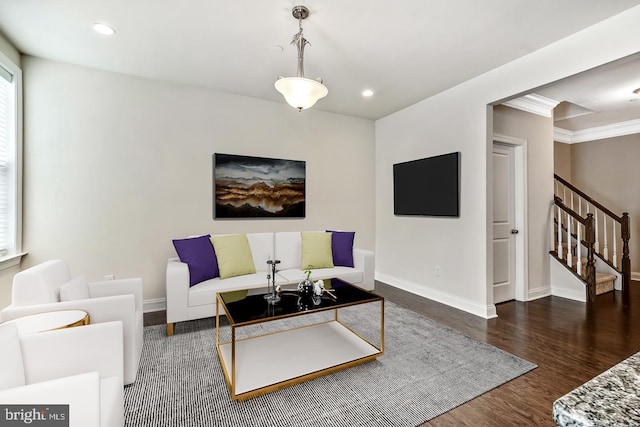 living room with ornamental molding and dark hardwood / wood-style floors