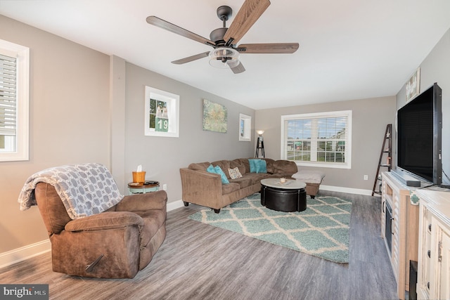 living room featuring ceiling fan and wood-type flooring