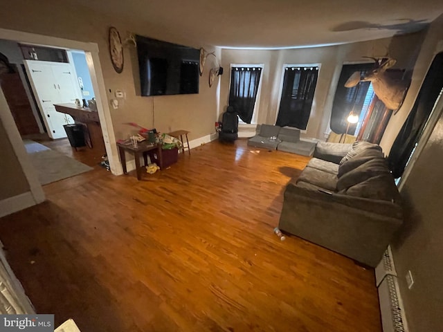 living room with hardwood / wood-style flooring