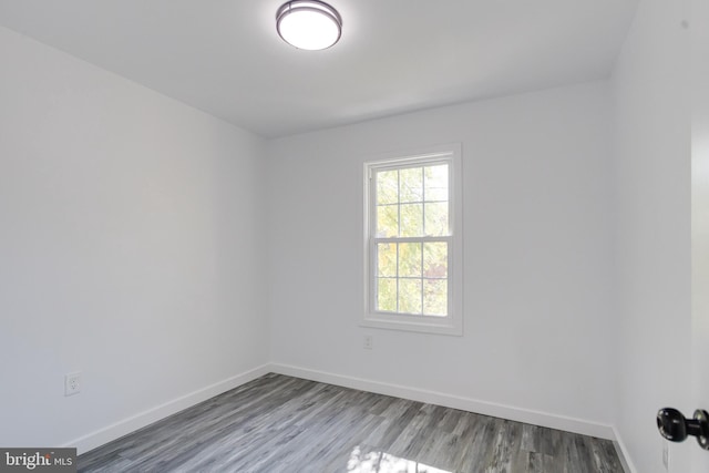 empty room with wood-type flooring