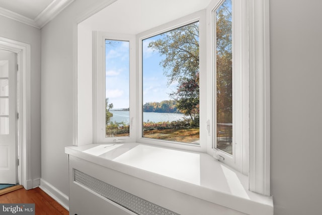 bathroom with a water view, ornamental molding, and hardwood / wood-style flooring