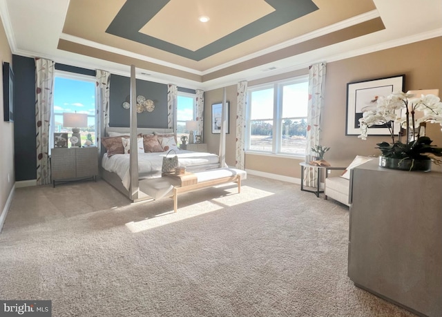 carpeted bedroom with crown molding and a raised ceiling