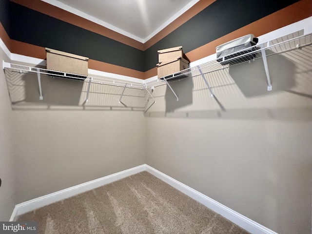 spacious closet with carpet flooring