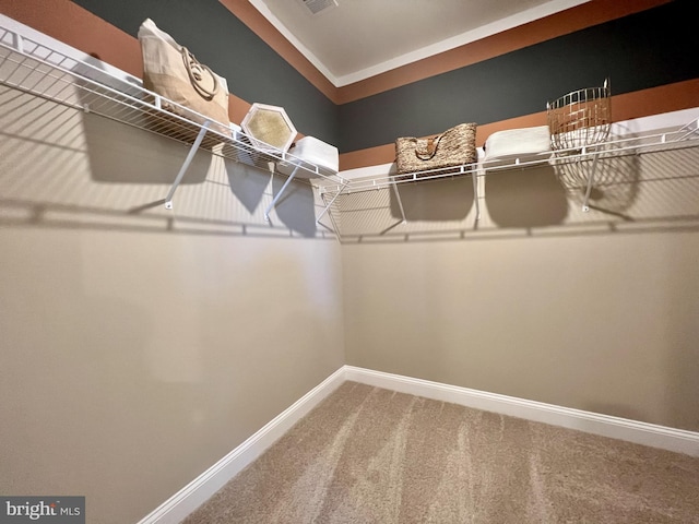 walk in closet with carpet