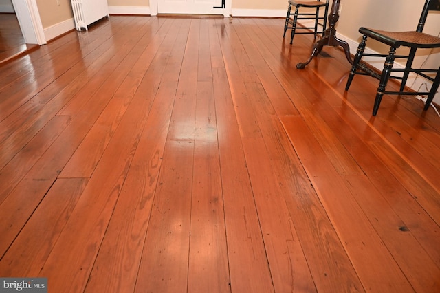 details featuring hardwood / wood-style floors and radiator